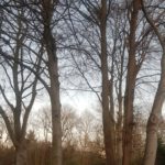 20191219_1555132