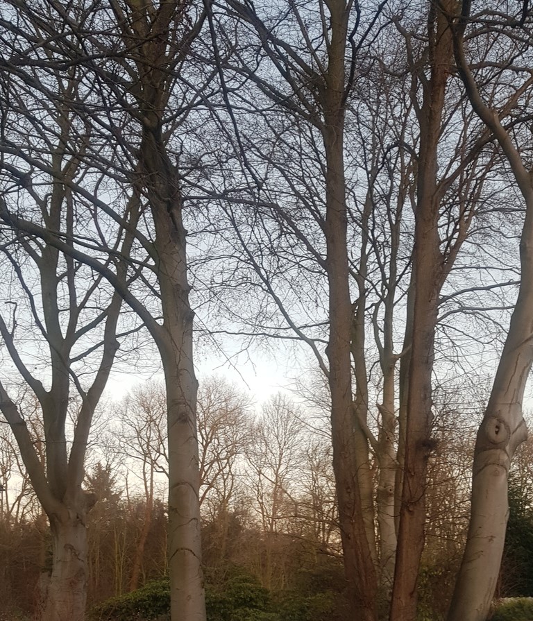 20191219_1555132